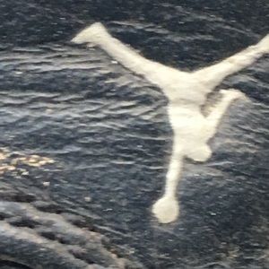 Meet your Posher, Maycen